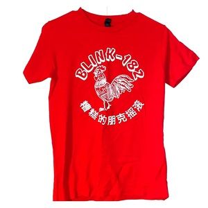 Blink 182 Concert Tee